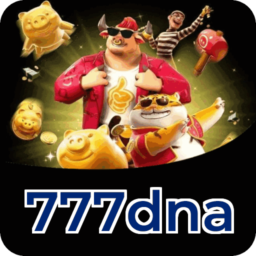 Interface 777dna